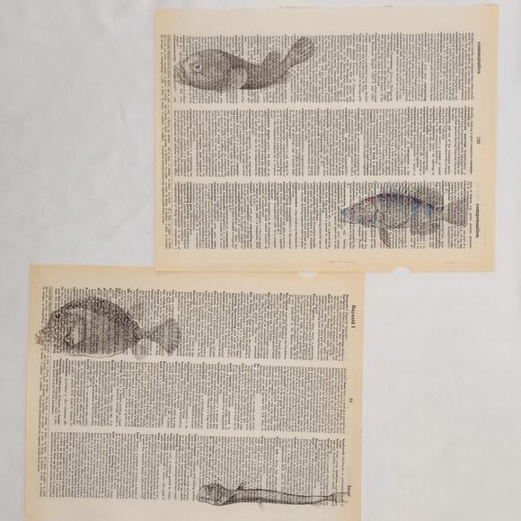 Sea Animal Dictionary Prints, Colorful Ocean Prints, Book Page Prints - Picture 3 of 6